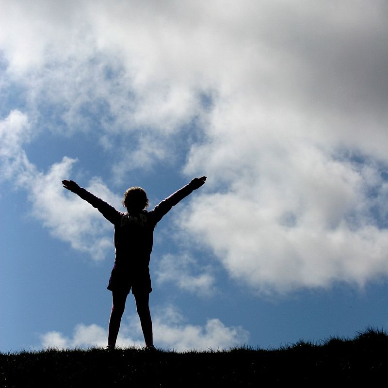 Direct Help Foundation, About Us